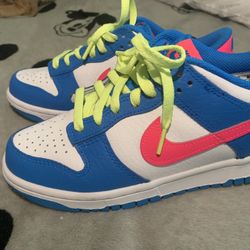 Nike DUNKS brand New