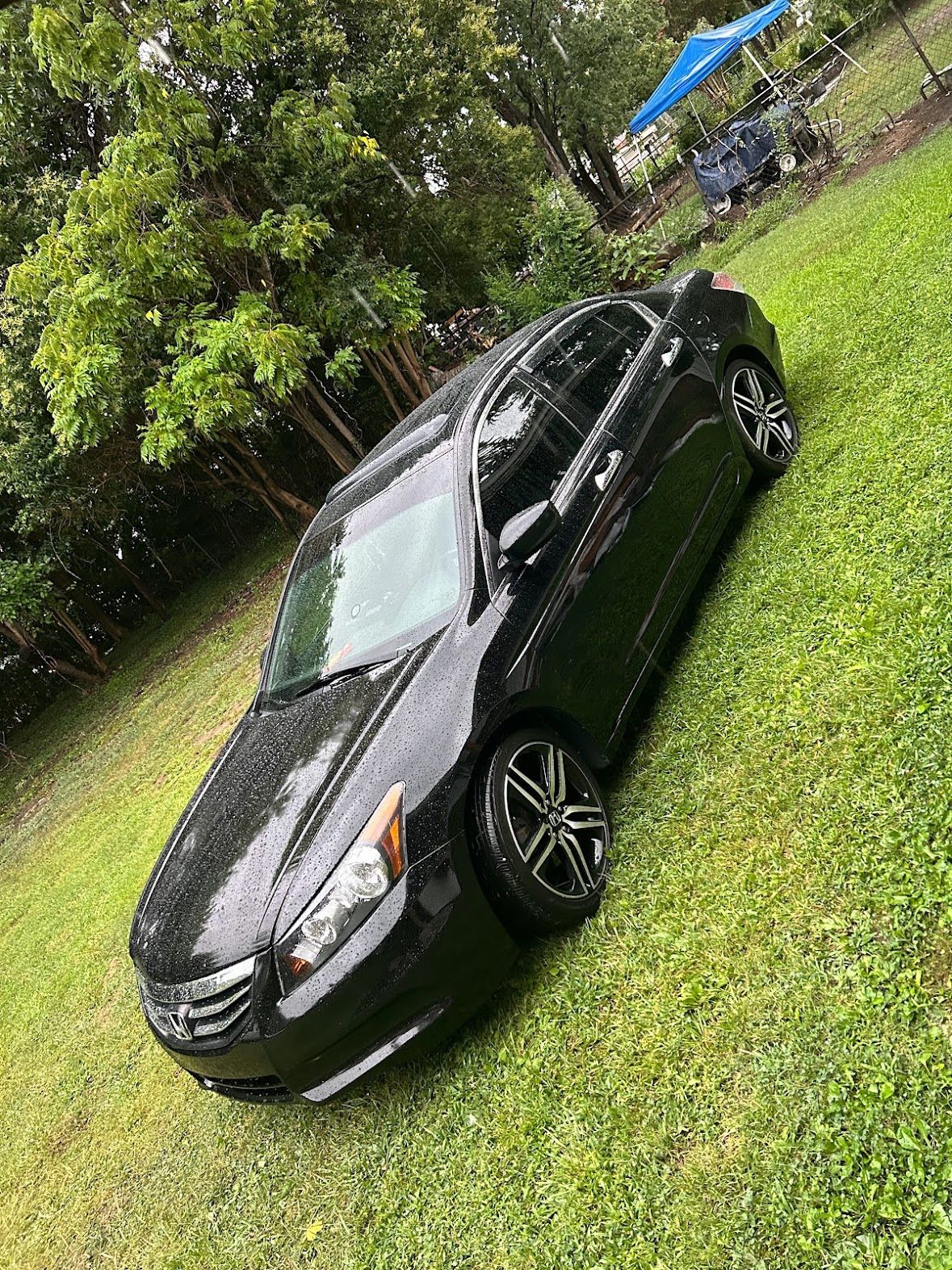2011 Honda Accord
