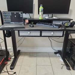 Electric Adjustable Standing Desk With LED Strip