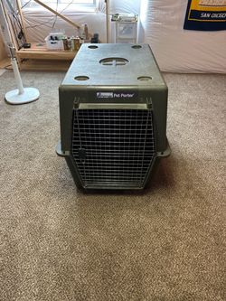 Kennel