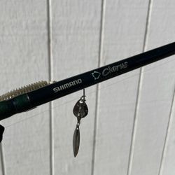 Shimano Clarus 7’ MHFA