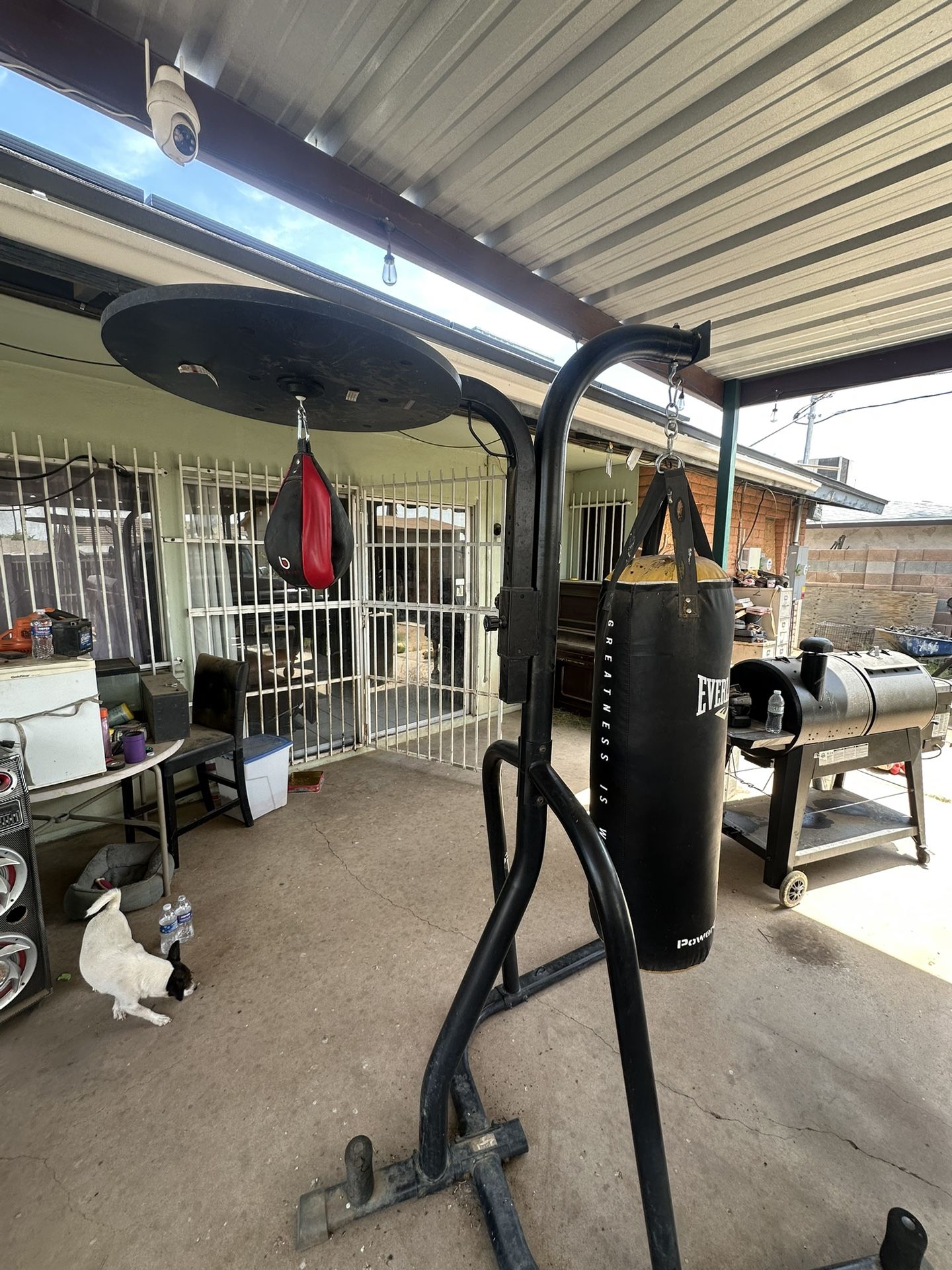 Everlast Punching Bag