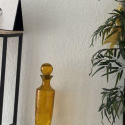 Small Orange Clear Case 