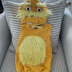 Pottery Barn Lorax Costume