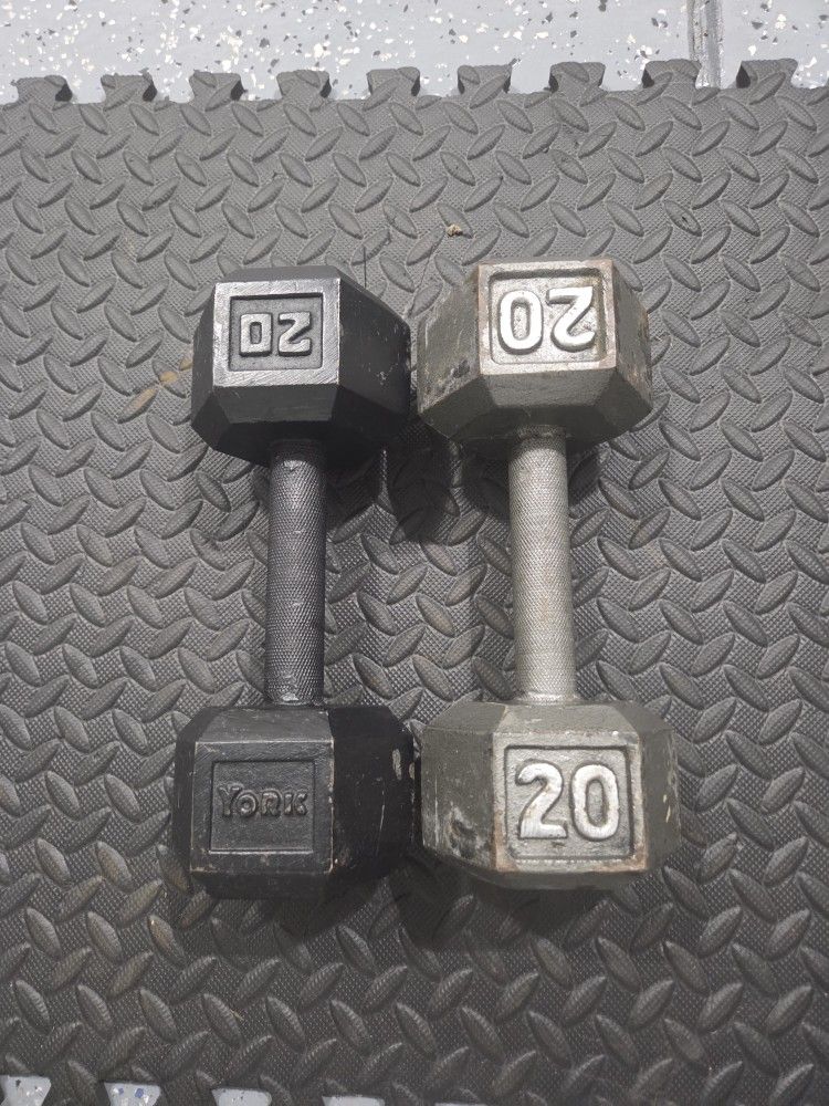 20 Pounds Dumbbells Set Weightlift Workout Weight Exercise Dumbells Solid Hex 20lbs