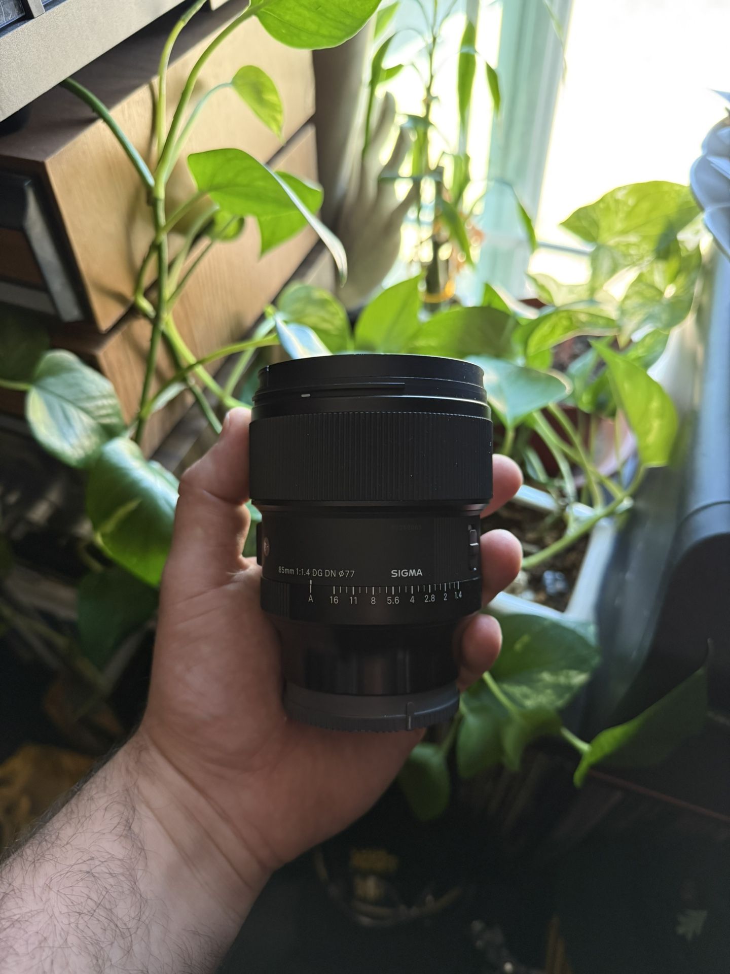 Sigma 85mm f/1.4 DG DN Art Lens (Sony E-Mount)
