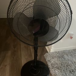 Black Standing Fan 