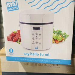 Mini Pressure Cooker 