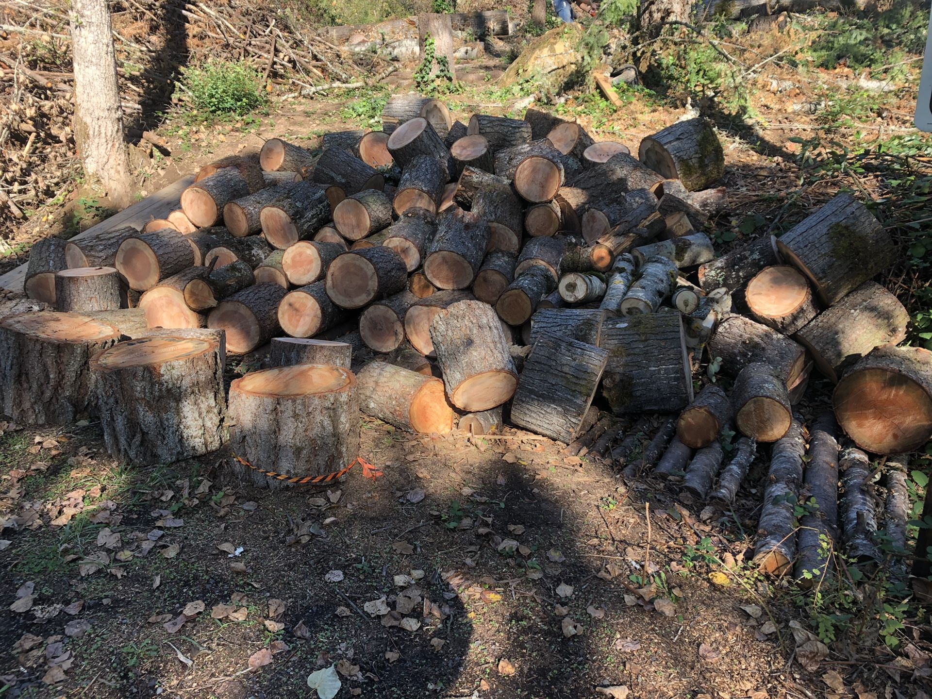 Firewood Rounds