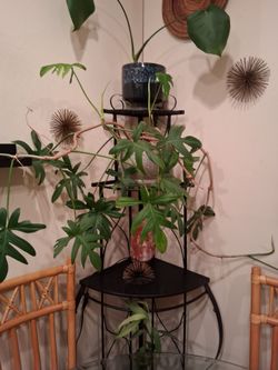 Metal Plant Stand
