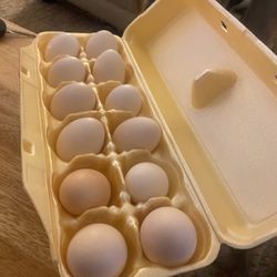Fresh Batam Eggs