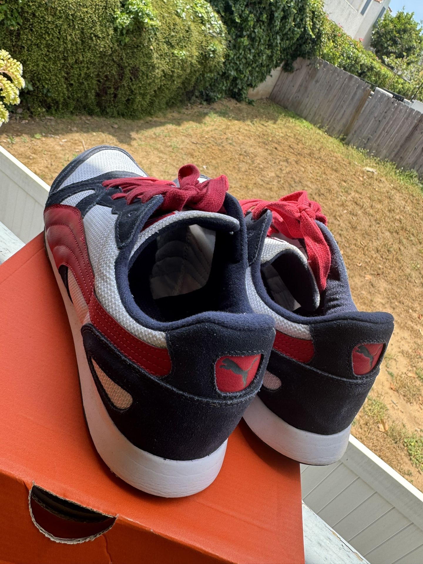 Puma Size 13