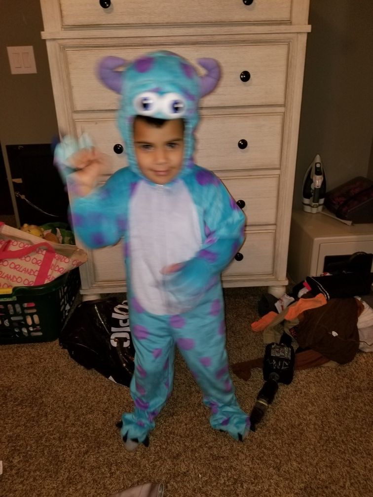 Sully Costume Size 3t