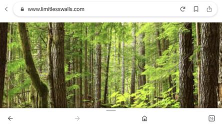 Full Large Wall Mural 12ft8 3/4x 9 Ft( Not One In Picture)