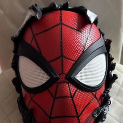 Spider-Man/venom Mask