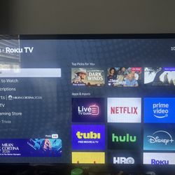 32 inch roku tv