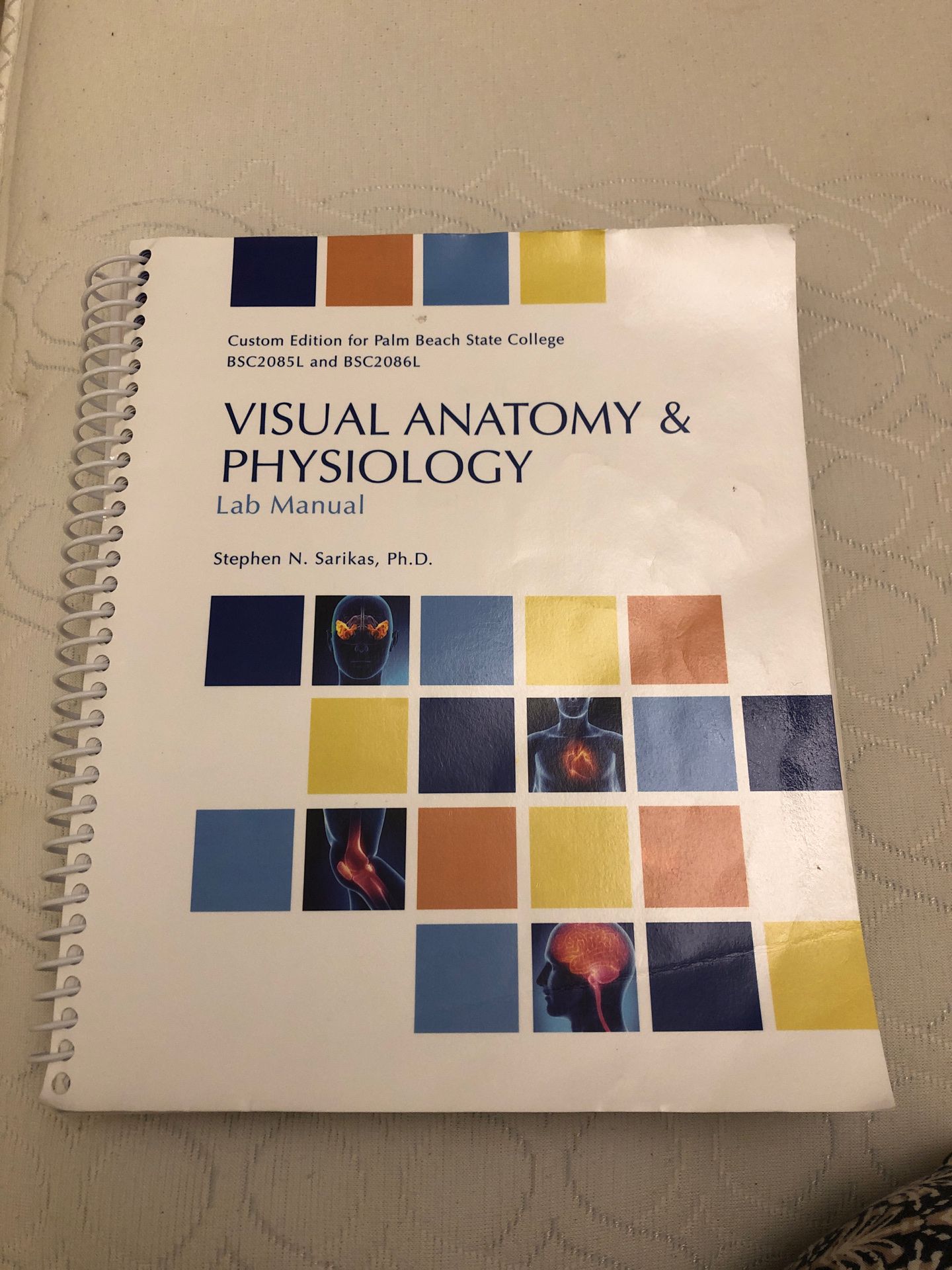 PBSC Visual Anatomy & Physiology Lab Manual BSC2085L