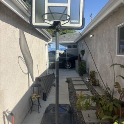 lifetime basketball court 