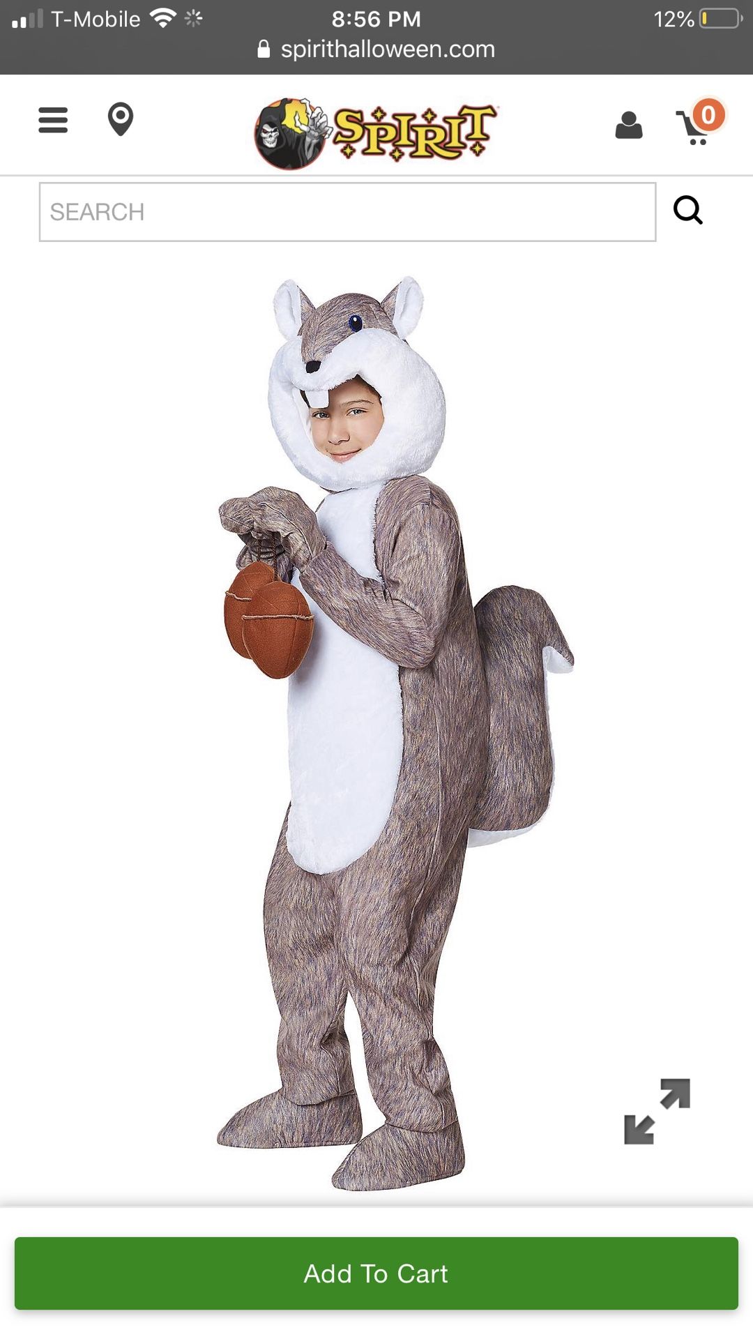 ISO Small Kids Squirrel Costume 