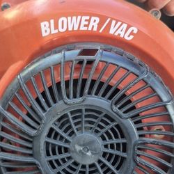 Gas Powered Leaf Blower/vac