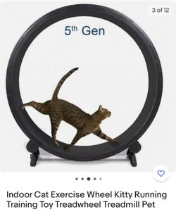 Indoor Cat Exercise Wheel Kitty Running Training Toy Treadweel Treadmill  Pet