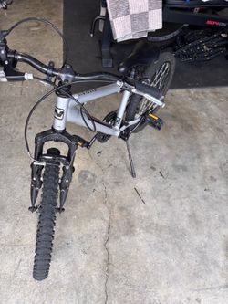 Boys 20 inch Mountain Bike