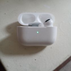 Apple IPod Air. Pro Right Side Only With Case