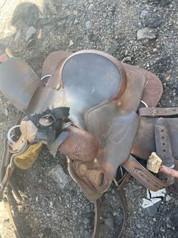 15 in saddle competition horse