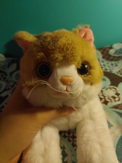 Orange and white tabby cat stuffed animal embroidered paws