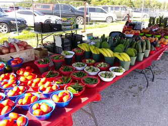 Fresh Produce / Fruta~Verdura Fresca 🌴