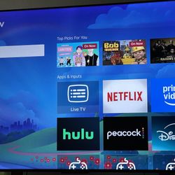 65 Inch Roku tv