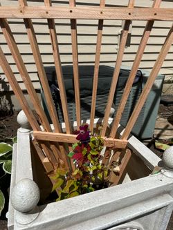 Trellis planter boxes etc.