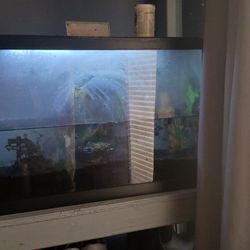 20 GAL FISH TANK