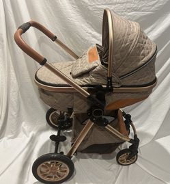 BEBECOSY Two Way Push Carriage/Stroller