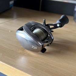 Daiwa Steeze SVTW Salt And Fresh Water Fishing Reel. 