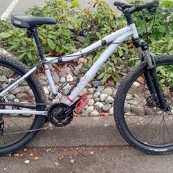 Only For $20 Because The Front Tire Is Flat 