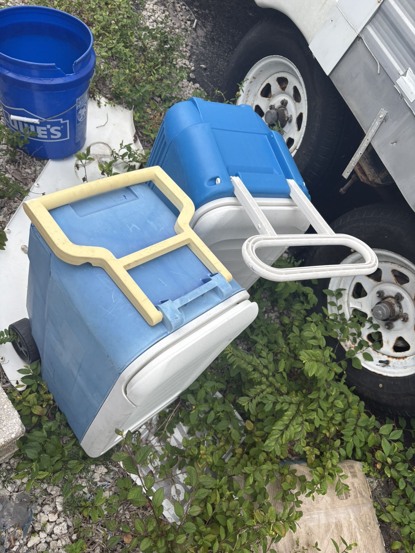 Cooler