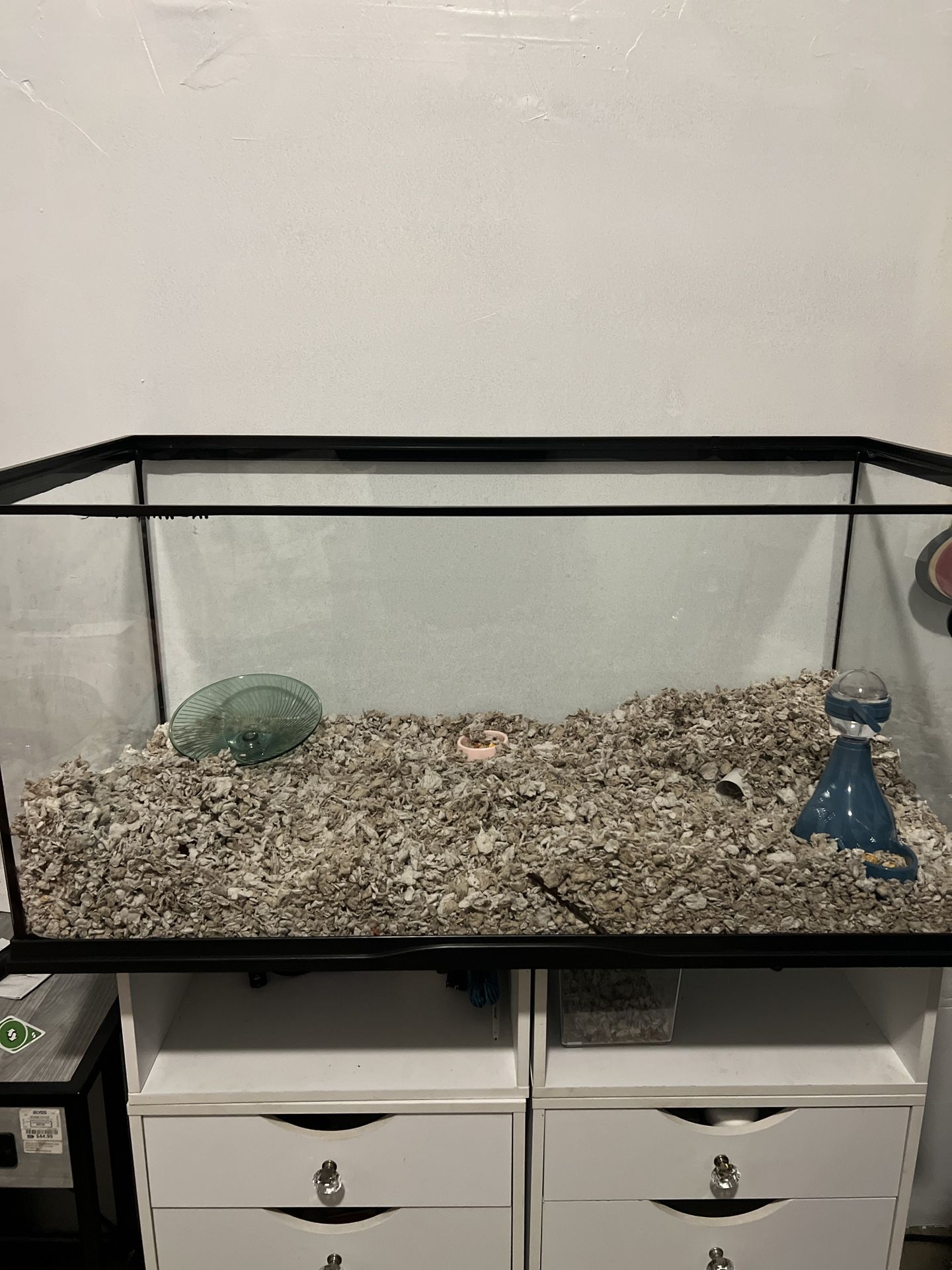 40 Gallon Reptile Tank