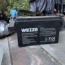 WEIZE 12v 100ah battery