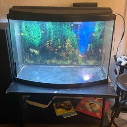 Fish Tank  And Stand 
