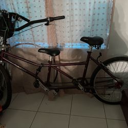 Buddy Bike 