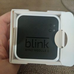 Blink Sync Module 2