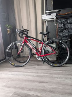Speacilced road bike 48cm