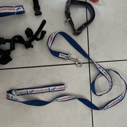 Dogs Accessories 