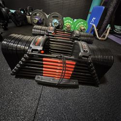 90lb Powerblock EXP