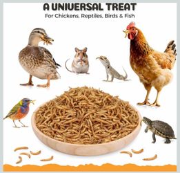 20lbs Dried Mealworms - High Protein Treat for Chickens & Birds No Additives or Preservatives, Natural Chicken Worms Ideal for Ducks, Wi