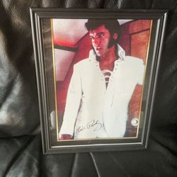 Framed Elvis Picture