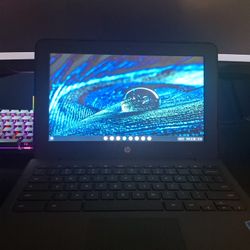 Chrome Book