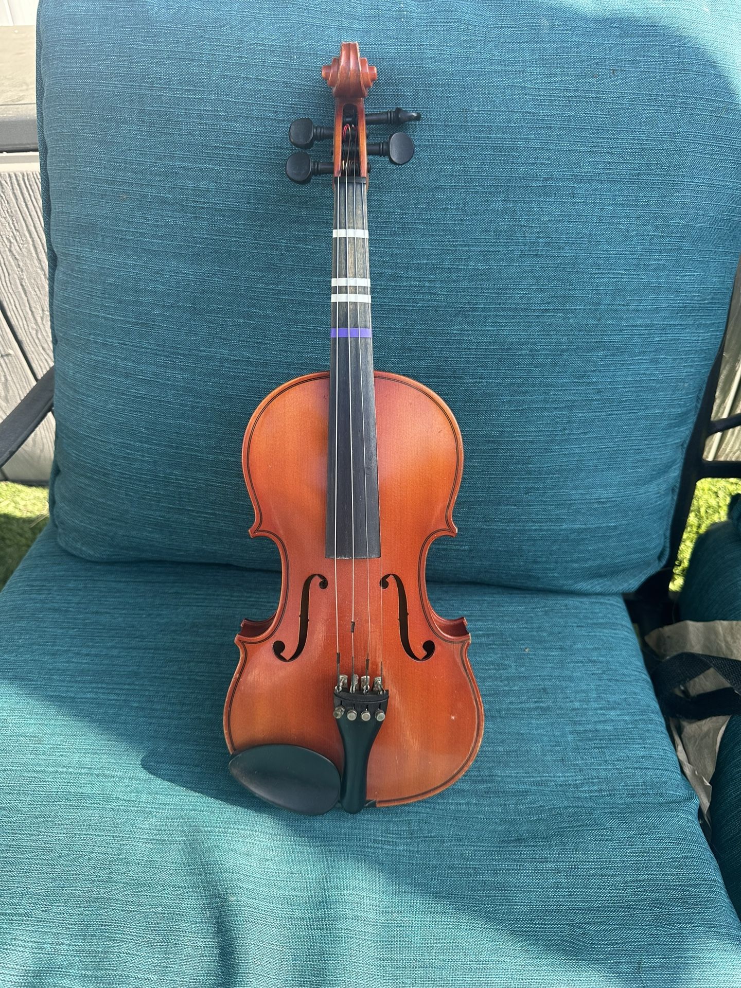 Violin