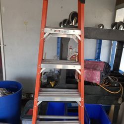 Werner 6' Ladder 